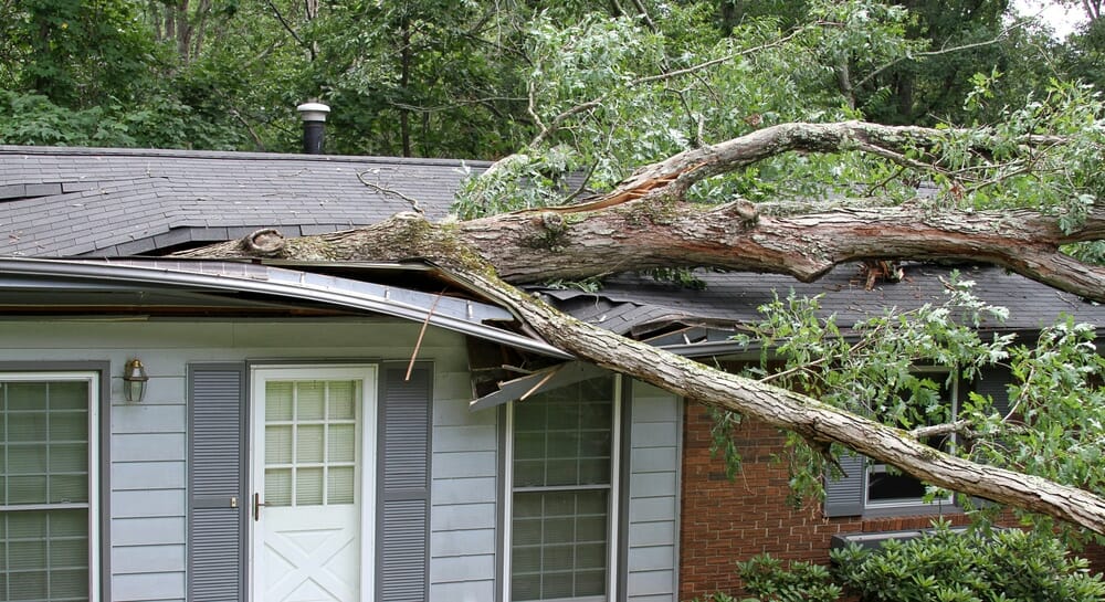 3 Problems Bradenton Homeowners Have with Their Roofs